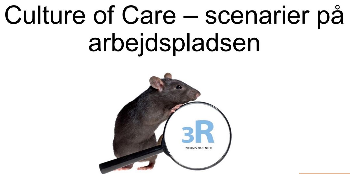 Styrk omsorgskulturen på din arbejdsplads