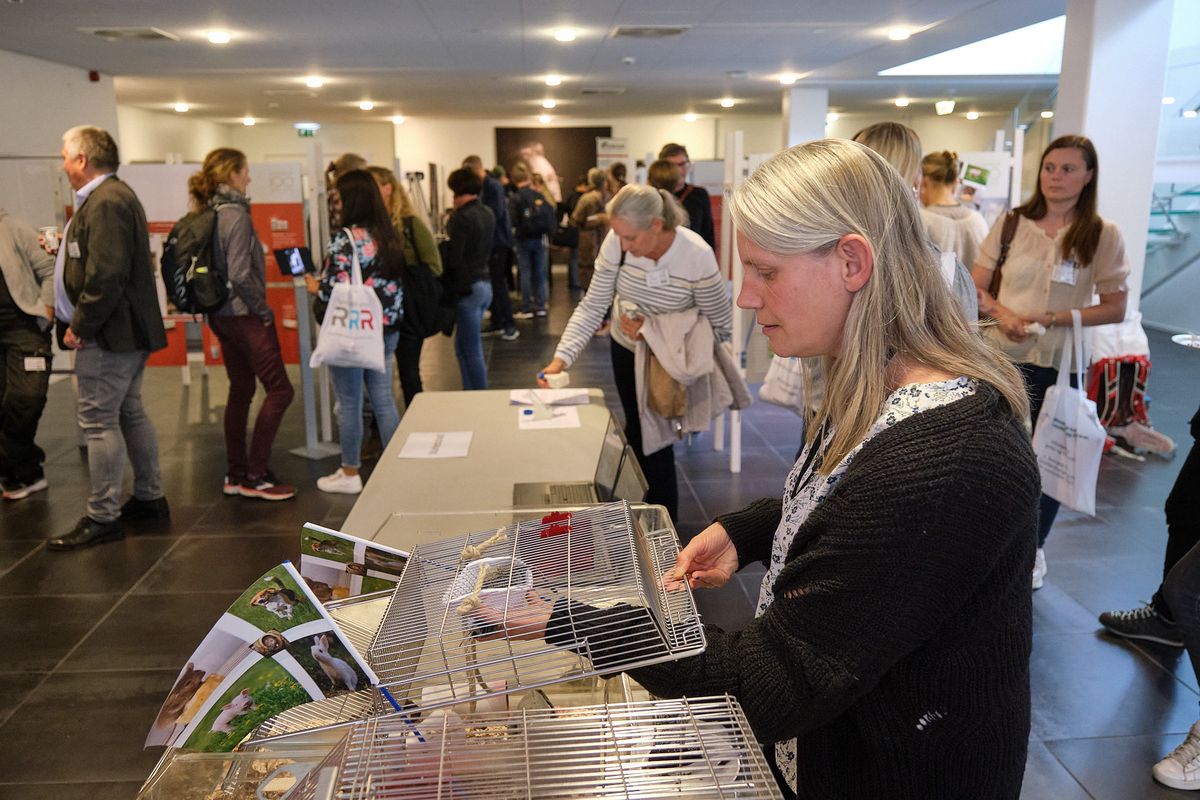 Tilmeld dig Dyrevelfærdsorganernes Årsmøde