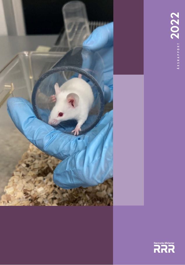 Årsrapport 2022