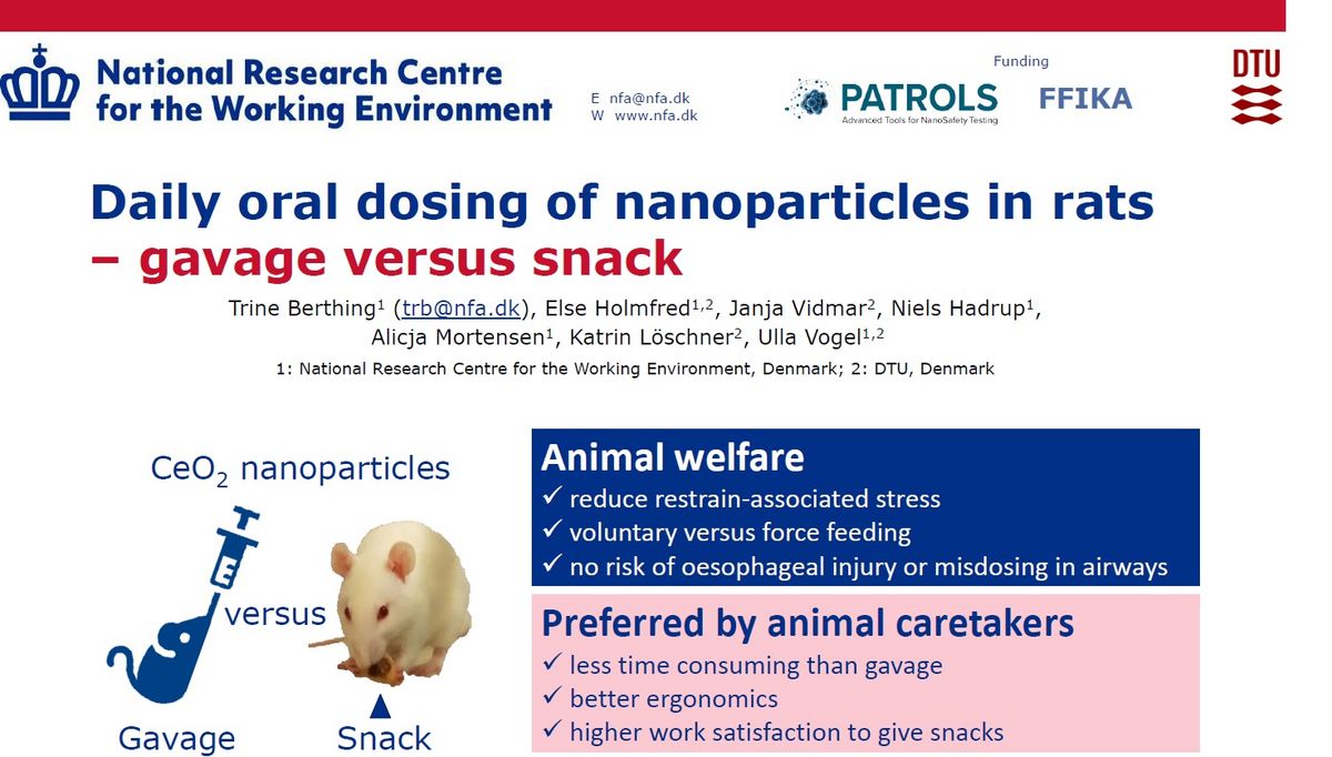 Snack vs Gavage