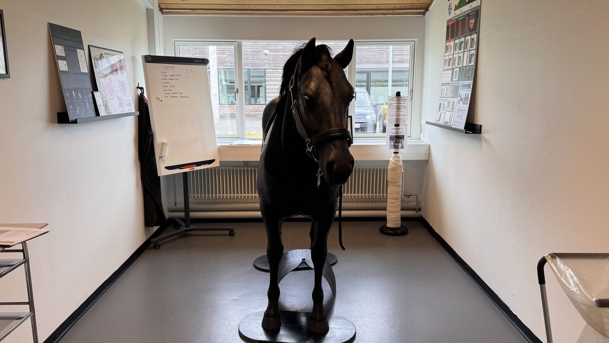 Åbning af simulationscenter på KU