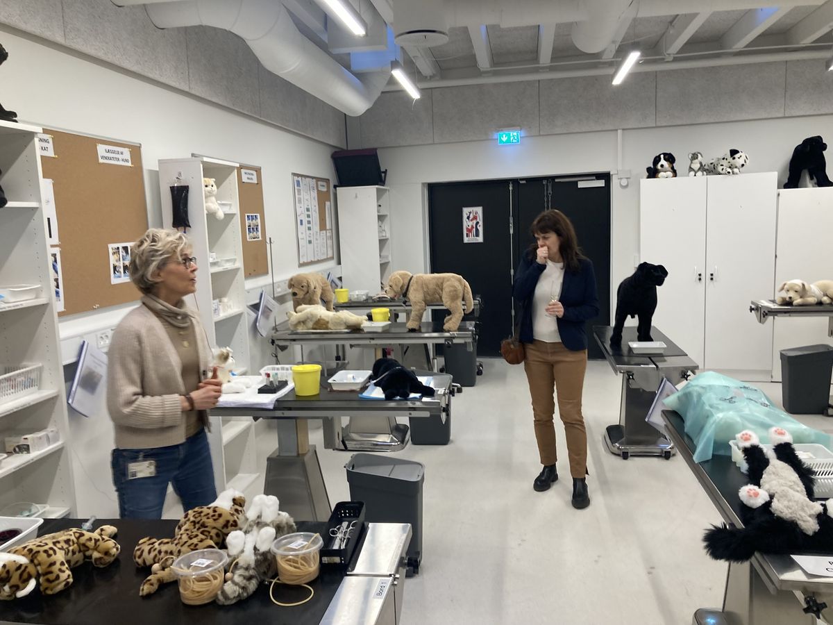Nyt simulationslaboratorium på KU