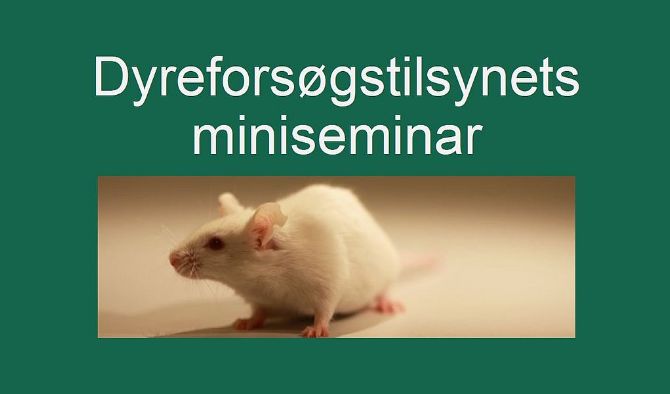 Dyreforsøgstilsynets miniseminar